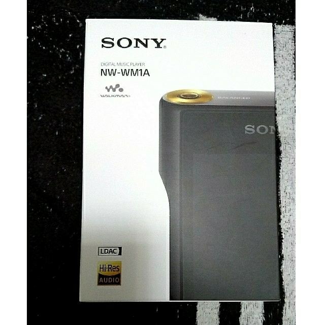 SONY ウォークマンNW-ZX507SM