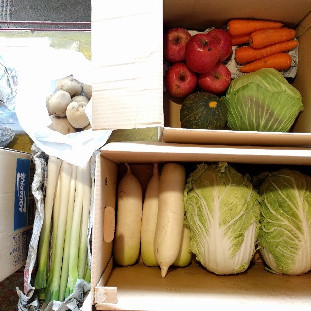 信州産野菜詰め合わせセット　仕送り風 食品/飲料/酒の食品(野菜)の商品写真