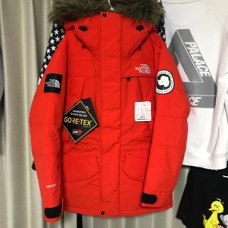 ザノースフェイス(THE NORTH FACE)のnoa様専用northFaceアンタークティカパーカ最安値(ダウンジャケット)