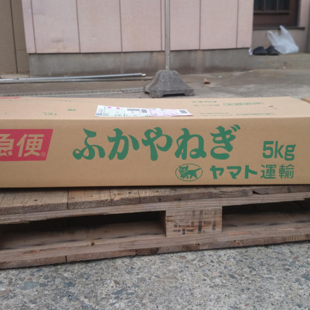 埼玉県最高級ブランド 深谷ねぎ5kg   泥付 食品/飲料/酒の食品(野菜)の商品写真