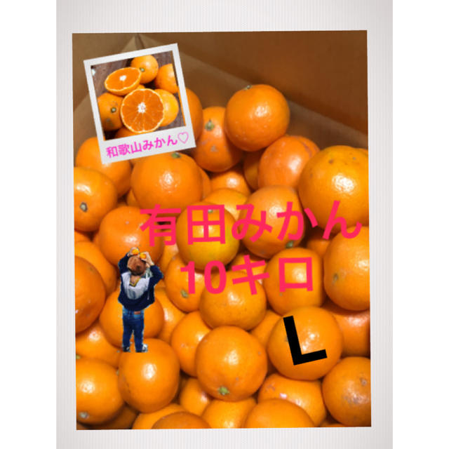 ぽんたろう 様専用和歌山 有田みかんLサイズ10キロ 大きめ！ 食品/飲料/酒の食品(フルーツ)の商品写真