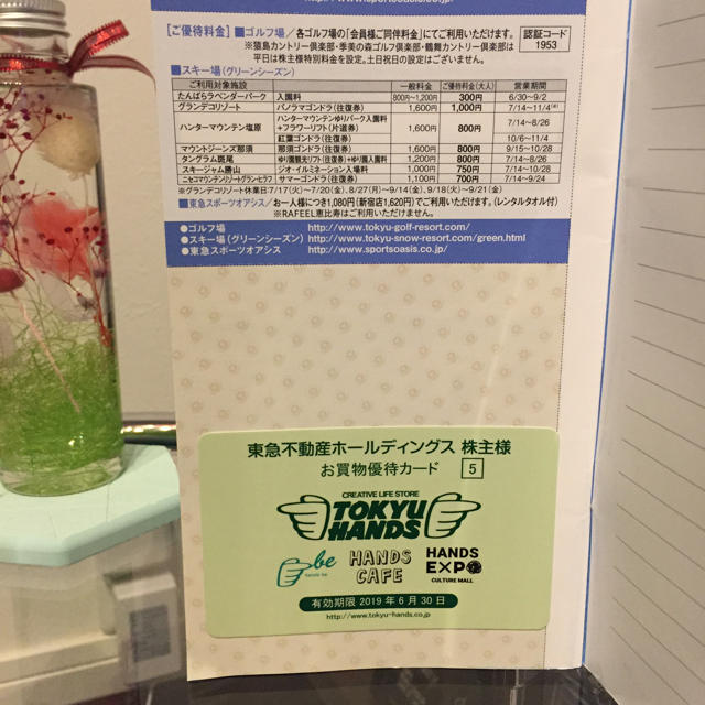 東急不動産ホールディングス株主様ご優待券 チケットの優待券/割引券(その他)の商品写真