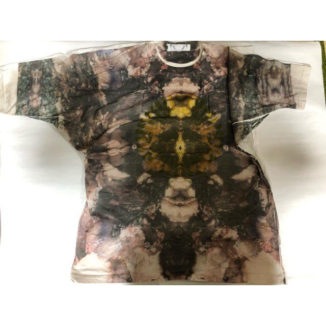 bodysong.(ボディソング)のbodysong.  big Tシャツ メンズのトップス(Tシャツ/カットソー(半袖/袖なし))の商品写真