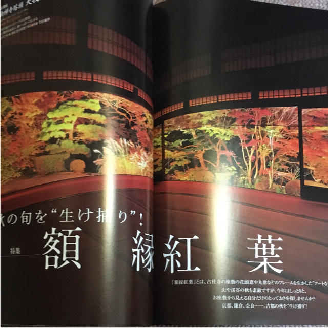 ノジュール エンタメ/ホビーの雑誌(趣味/スポーツ)の商品写真