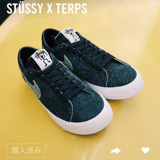 STUSSY(ステューシー)のSTUSSY ズームブレーザー  メンズの靴/シューズ(スニーカー)の商品写真