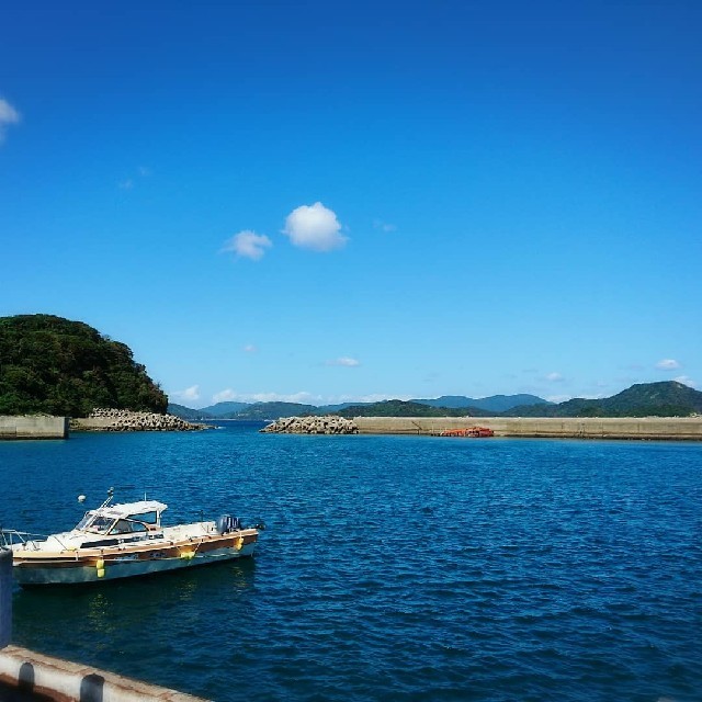 無農薬❗新鮮野菜セット(70サイズ) 長崎県五島列島よりお届け❗ 食品/飲料/酒の食品(野菜)の商品写真