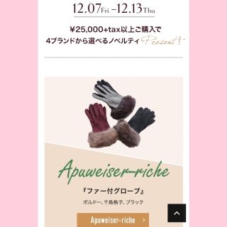 アプワイザーリッシェ(Apuweiser-riche)の新品・未使用✨Apuweiser-riche✨ファー付きグローブ(手袋)