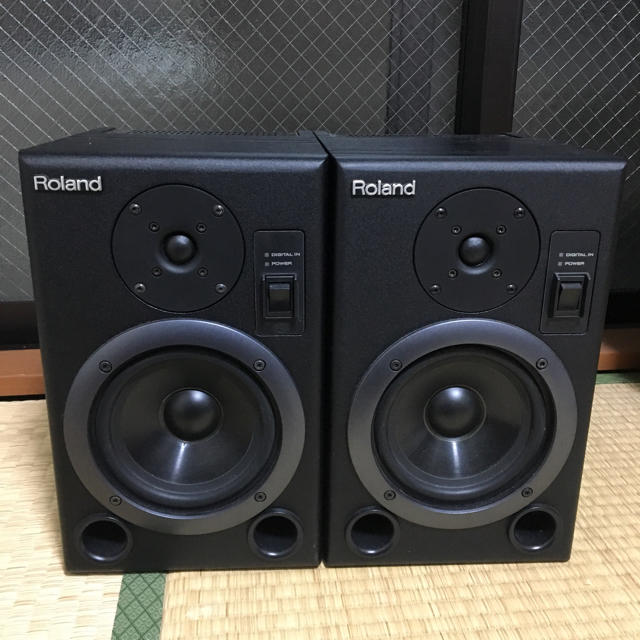 Roland モニタースピーカー DS-5 DTM 55w Roland モニタースピーカー DS-5 DTM 55w