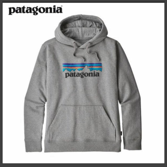 patagonia(パタゴニア)のパタゴニアパーカー新品グレー2018年モデル 残りわずか メンズのトップス(パーカー)の商品写真