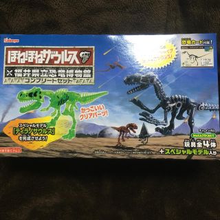 ほねほねザウルス 福井県立恐竜博物館 フルコンプセット(その他)