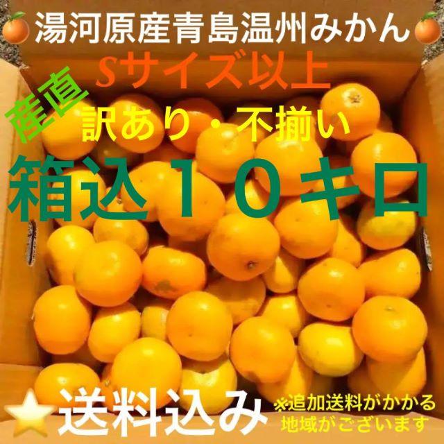 訳あり★産直不揃い10kg★神奈川県湯河原産🍊晩生 青島温州みかん🍊③ 食品/飲料/酒の食品(フルーツ)の商品写真