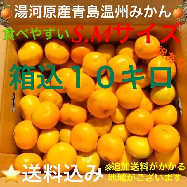 訳あり★産直S・M10kg★神奈川県湯河原産🍊晩生 青島温州みかん🍊① 食品/飲料/酒の食品(フルーツ)の商品写真