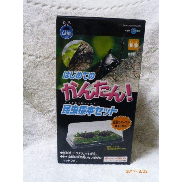 はじめての　かんたん！　昆虫標本セット その他のペット用品(虫類)の商品写真