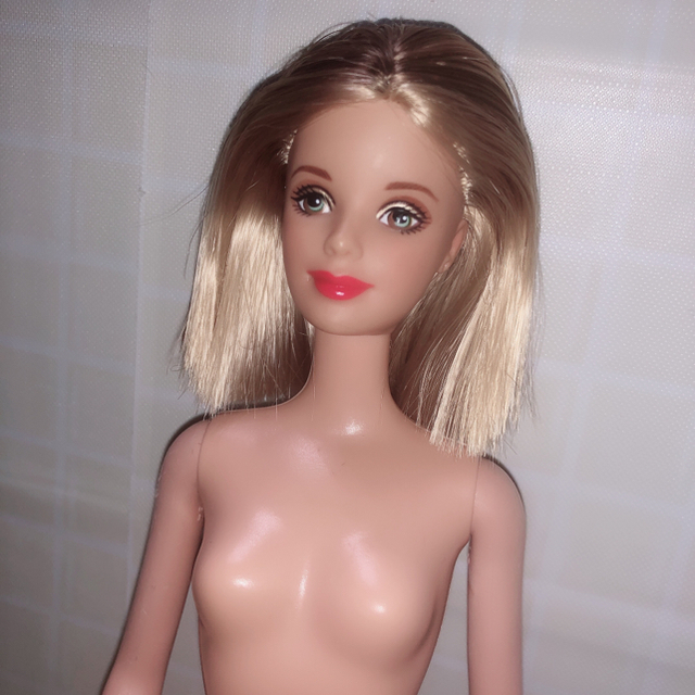 Barbie(バービー)のbarbie  バービー キッズ/ベビー/マタニティのおもちゃ(ぬいぐるみ/人形)の商品写真