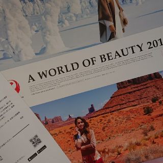 ジャル(ニホンコウクウ)(JAL(日本航空))のJAL WORLD OF BEAUTY  2019 カレンダー(カレンダー/スケジュール)