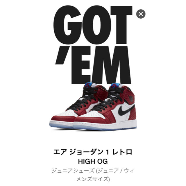 NIKE JORDAN 1 OG BG 23.0cm origin story