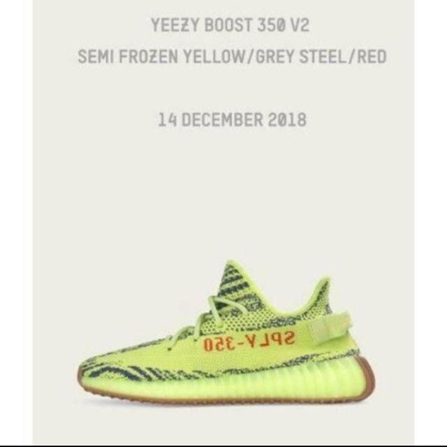 yeezy 350 27