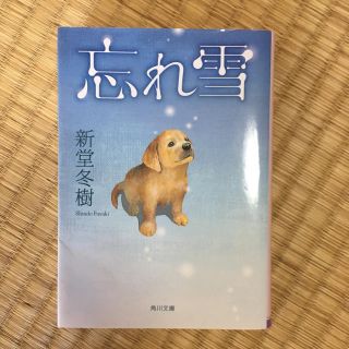 小説 忘れ雪(文学/小説)