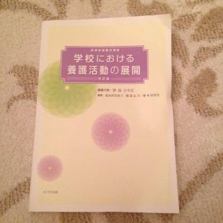 学校における養護活動の展開(その他)