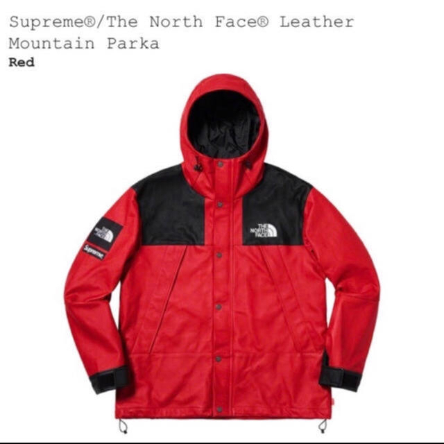 supreme the north face leather L