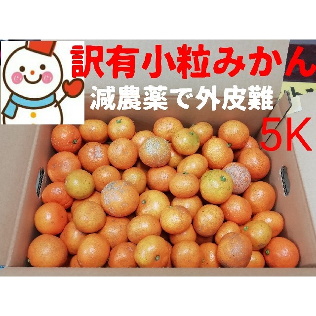 見てビックリ❗パクパク食べる❗小さいみかん５㌔❤️和歌山減農薬栽培 食品/飲料/酒の食品(フルーツ)の商品写真