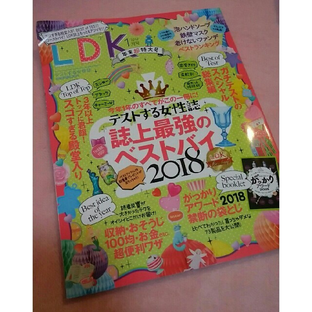 LDK 2019年 1月号 年末超特大号 エンタメ/ホビーの本(住まい/暮らし/子育て)の商品写真