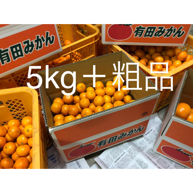 有田みかん5kg＋おまけ付 SSSのチビサイズ 80個ぐらい 食品/飲料/酒の食品(フルーツ)の商品写真