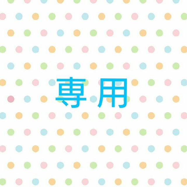 コストコ(コストコ)の杏様専用！ 食品/飲料/酒の食品(菓子/デザート)の商品写真