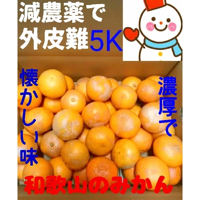 ビックリ❗訳有和歌山みかん５㌔❤️減農薬栽培 食品/飲料/酒の食品(フルーツ)の商品写真