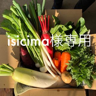 isicima様専用旬の野菜80サイズ(野菜)