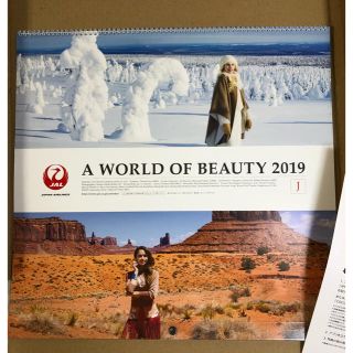 JAL カレンダー 2019 A World Of Beauty(カレンダー/スケジュール)