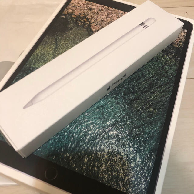 iPad Pro 10.5 256GB WIFIモデル+Apple Pencilペーパーライクフィルム装着済