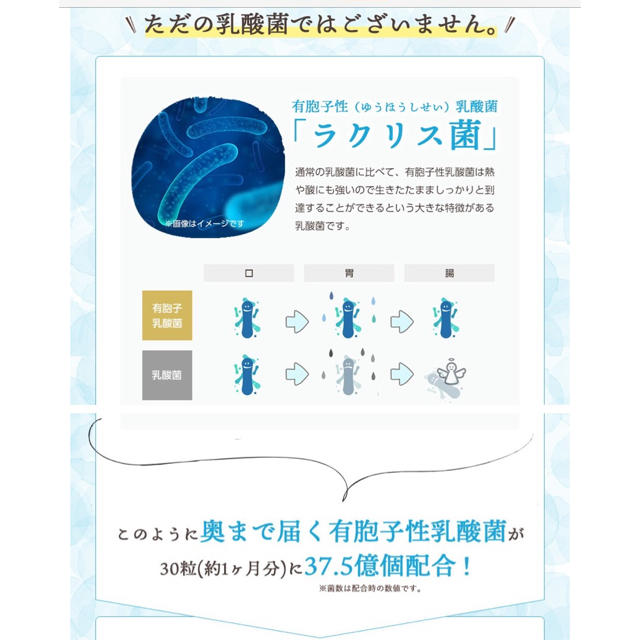 届く！有胞子性 乳酸菌 ３ヶ月分  シードコムス 食品/飲料/酒の健康食品(その他)の商品写真