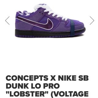 ナイキ(NIKE)のCONCEPTS X NIKE "PURPLE LOBSTER"(スニーカー)