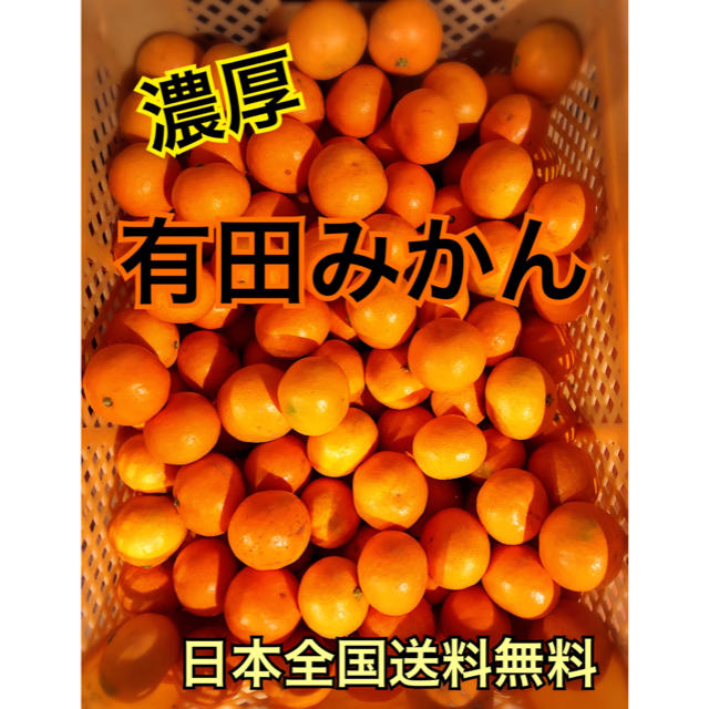 有田みかん 家庭用 5kg 食品/飲料/酒の食品(フルーツ)の商品写真