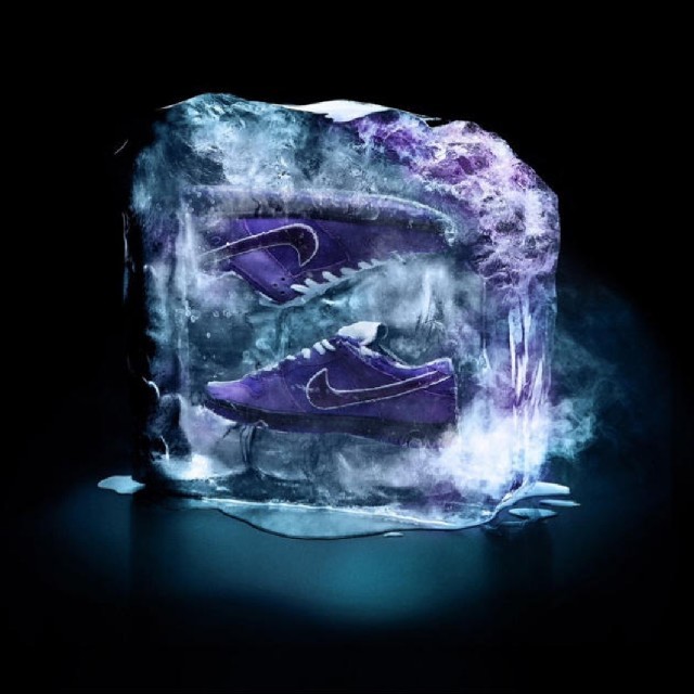 CONCEPTS NIKE SB DUNK LOWPURPLE LOBSTER