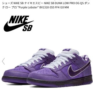 ナイキ(NIKE)のConcepts×NIKE SB DUNK LOW PRO(スニーカー)