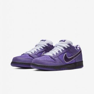 ナイキ(NIKE)のnike dunk sb 25.5(スニーカー)