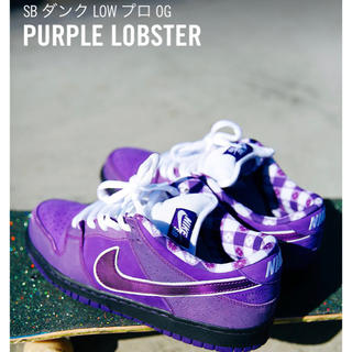 ナイキ(NIKE)のDUNK LOW PRO OG Purple Lobster(スニーカー)