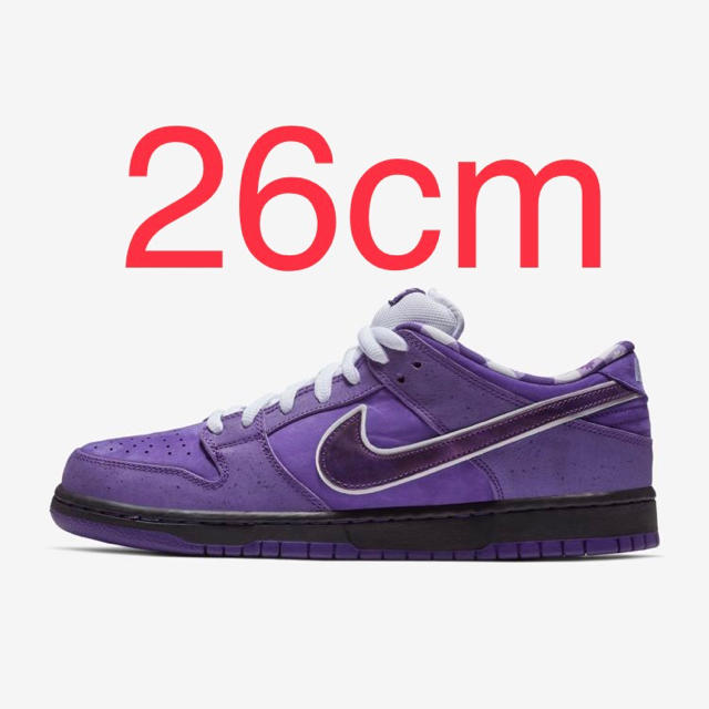 NIKE(ナイキ)のNIKE SB DUNK LOW PRO Purple Lobster メンズの靴/シューズ(スニーカー)の商品写真