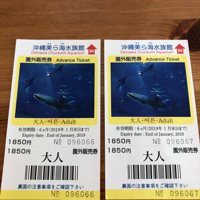 美ら海水族館チケット 大人 2枚 チケットの施設利用券(水族館)の商品写真