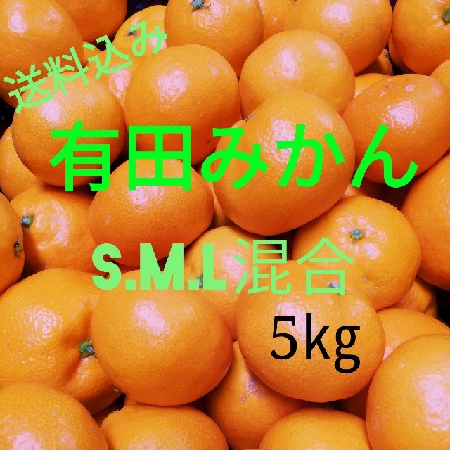 有田みかん🍊中玉🍊5㎏🍊送料込み 食品/飲料/酒の食品(フルーツ)の商品写真