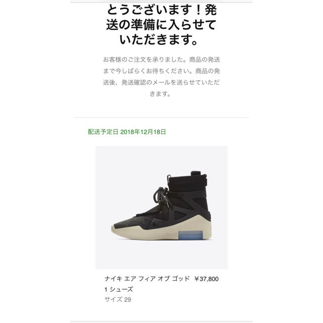 FEAR OF GOD(フィアオブゴッド)のair fear of god 29cm メンズの靴/シューズ(スニーカー)の商品写真