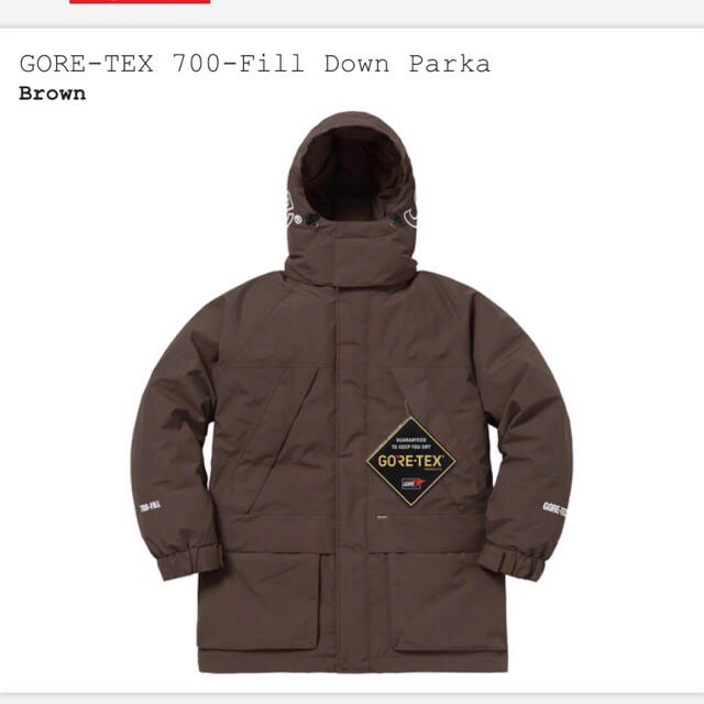 Supreme GORE-TEX 700Fill DownParka  ダウン