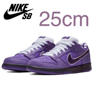 ナイキ(NIKE)のNIKE DUNK SB LOW 25cm(スニーカー)