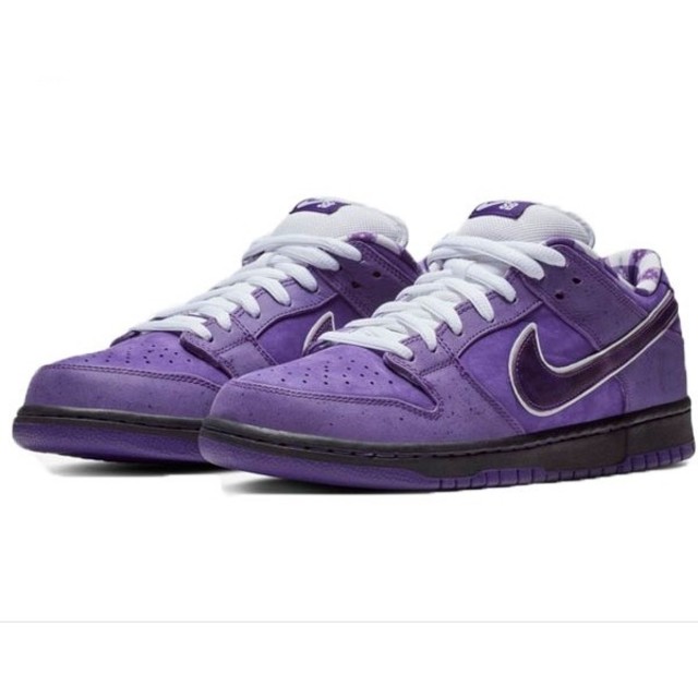 NIKE(ナイキ)の NIKE sb purple lobster concepts 25cm メンズの靴/シューズ(スニーカー)の商品写真