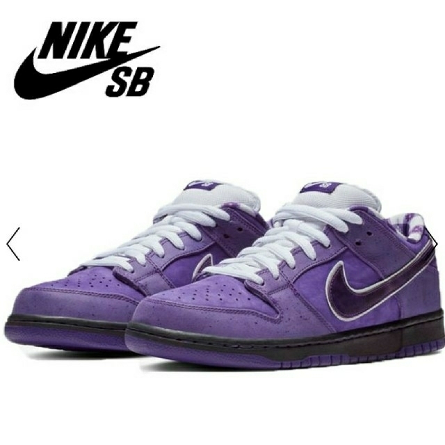 26.5 NIKE SB DUNK LOW PRO Purple Lobster