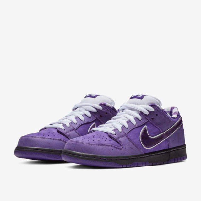 NIKE SB DANK LOW靴/シューズ