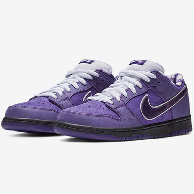 NIKE SB DUNK LOW CONCEPTS 27.5cm 国内正規品