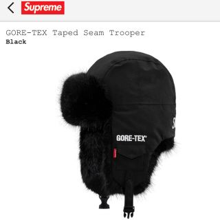 シュプリーム(Supreme)のsupreme GORE-TEX Taped Seam Trooper(その他)